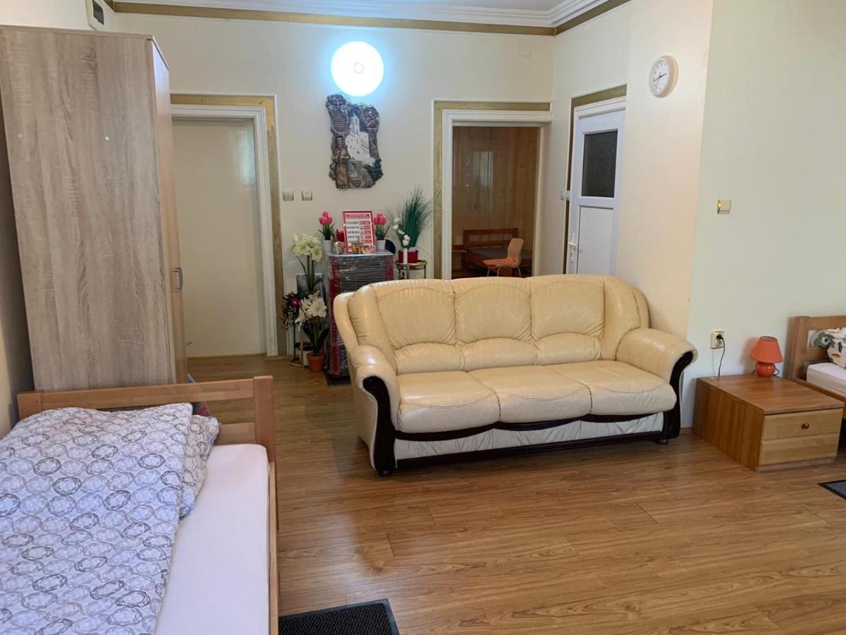 Apartment Pejica *